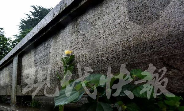 ���S���ڨB�s�� �l���q�v�ܾs���u