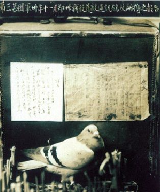 �Ѳ��Y���C�qç���Ω����p�Ґ�