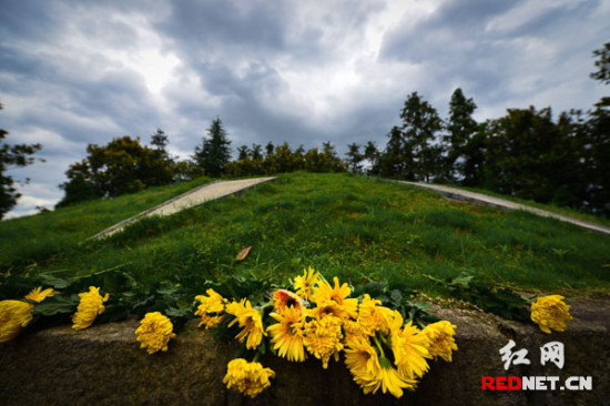 �G���h�ܾs���Ϩ��O�H���w�|�s�Δe�ܾs�s�ݾs�����κ]��