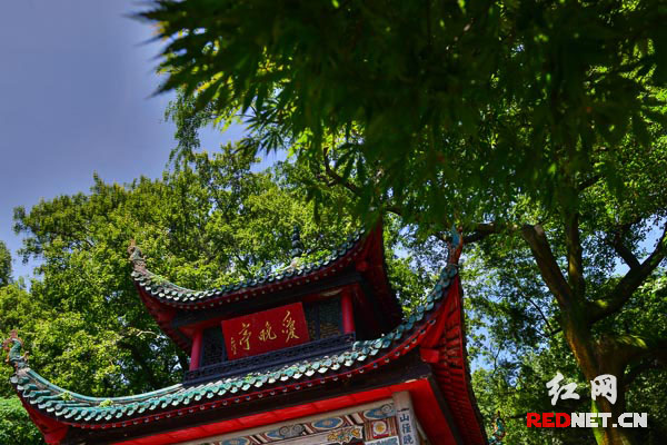 �������Ͳ��A�F�y�e���W�ġo����_���Y�R���~��