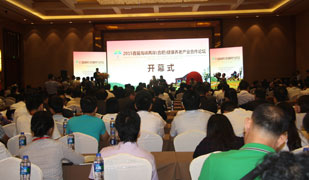 ���E�������w�i���l�l�����������I���m�}�@