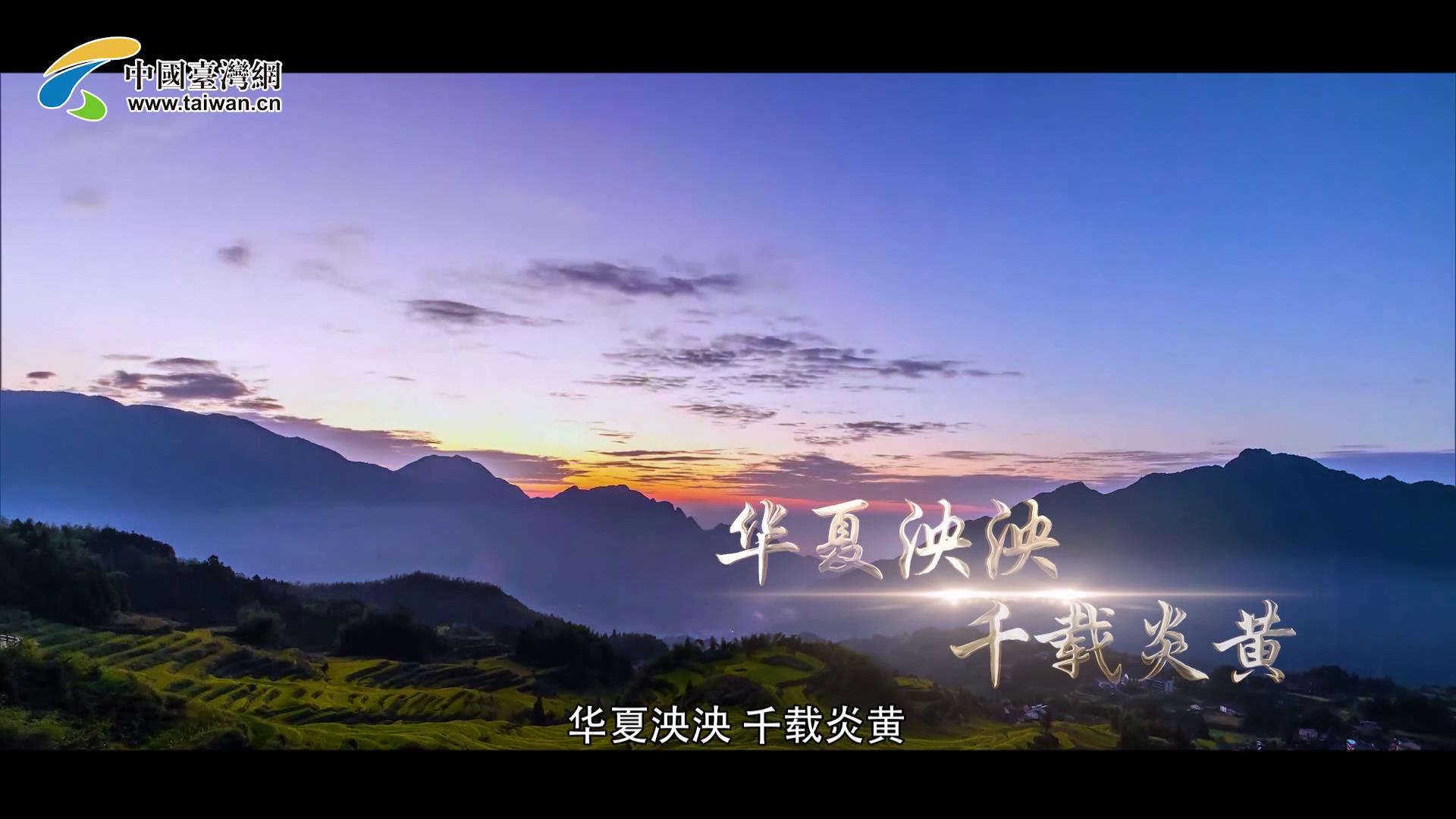 2019�������w�����Ƚ� VCR1�ʕ[