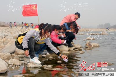 �e�h�h����\�ͫp�g�O��B�Y�P