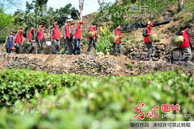 �������O��L�������������o�ݴ�j�u