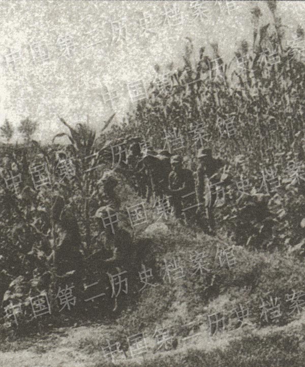 ��ä����֧��´ɐ䤤ä�s���Y�����ϧ�(��)