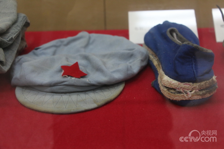 �Y�ʐޔ��v���Y�]��