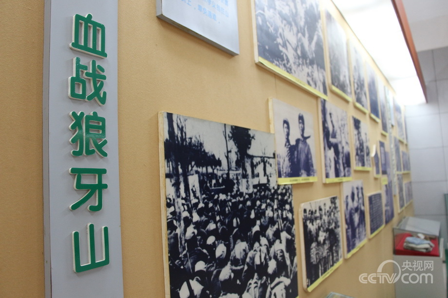 �Y�ʐޔ��v���Y�]��