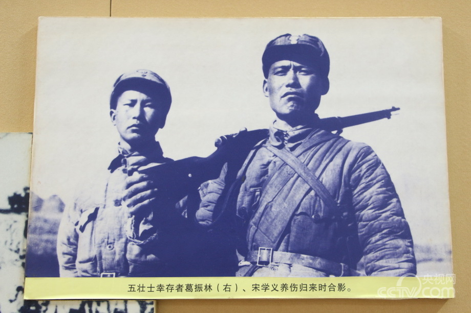 �Y�ʐޔ��v���Y�]��