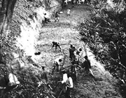 �h�����ܾs ���h�����~��(��):�е����j �ܾs�L�t�u��