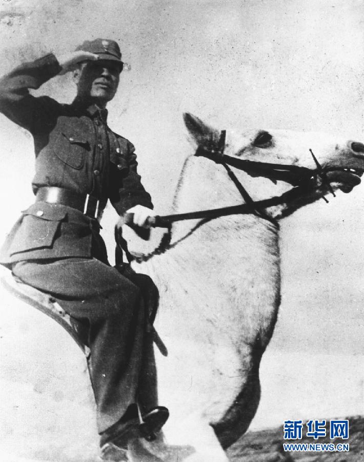 ��5���S�[�|�s��Ò���e�Ò�t