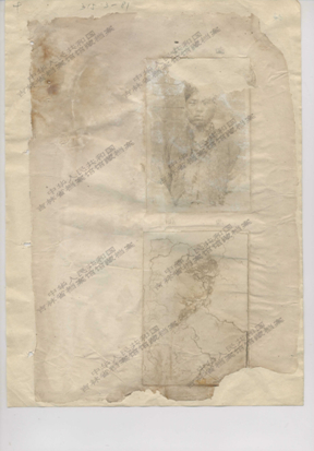 �i���n�Sï���z���H���Y�ʕ[��