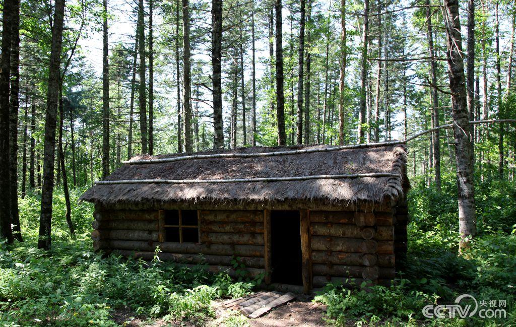 �������p