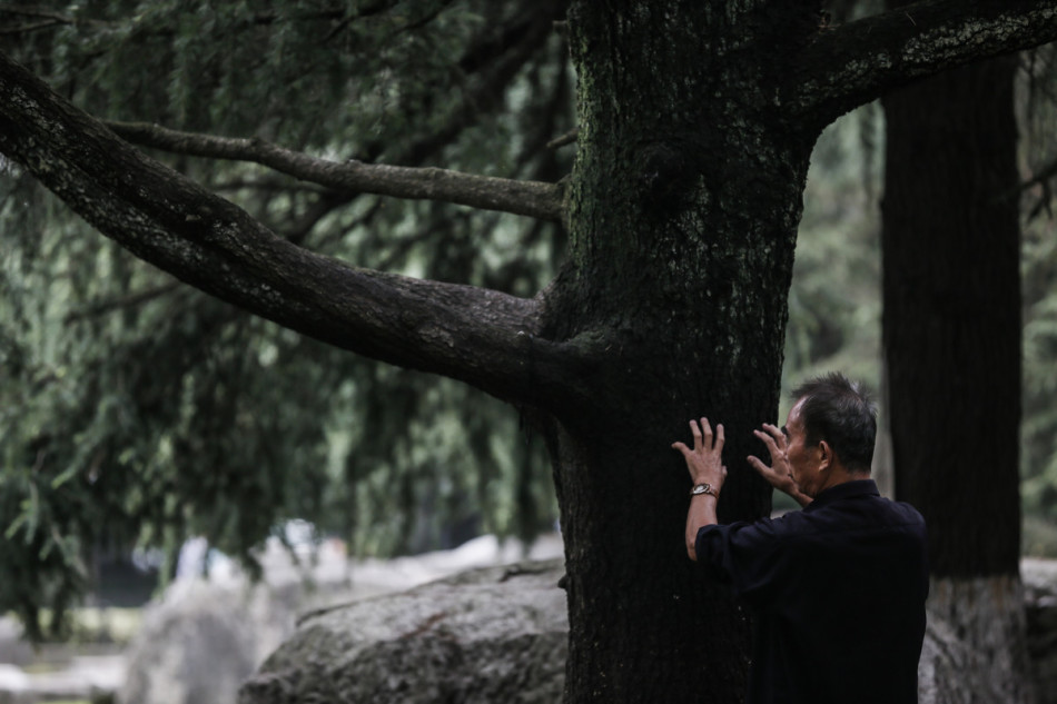 �h�y�y�ӷ|�E�饫���گ�����