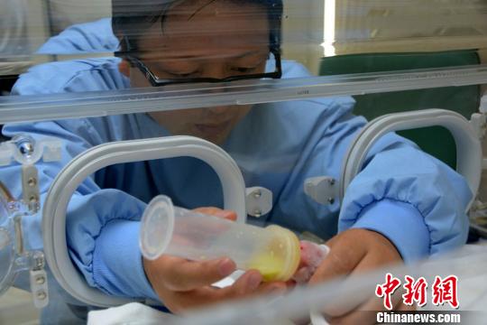 ����]�ɲ�4�e8�[�D�����߸����ɣK�L���ġ�