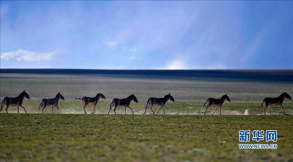 �w���i�X���k���v�ͯ��J�Y�L�Ѹj��