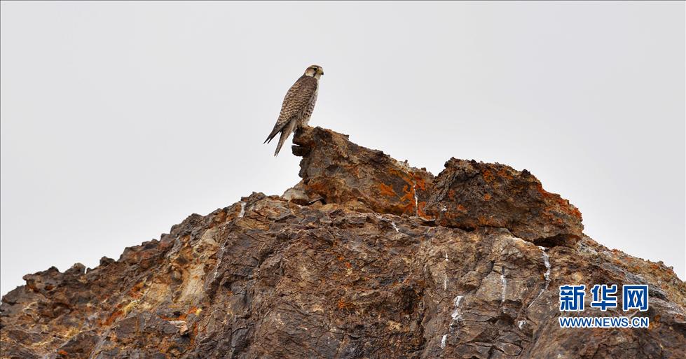 �w���i�X���k���v�ͯ��J�Y�L�Ѹj��