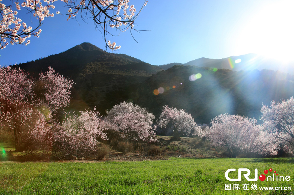 �w��ҧ�z�䨩��a���Y������