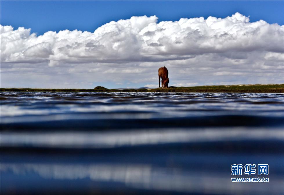 ���ġw���i�X�s�~���@�[