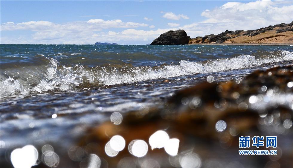 ���ġw���i�X�s�~���@�[