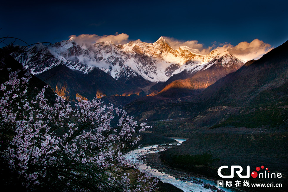 �w��ҧ�z�䨩��a���Y������