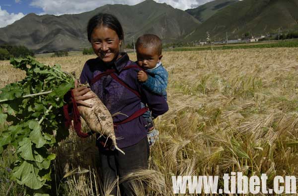 �|�|棫ҕs���Y���ޤ⤤���ҭۣO�Y���t���y�������s�T�Y�z�Ҥ����Y�X�e����