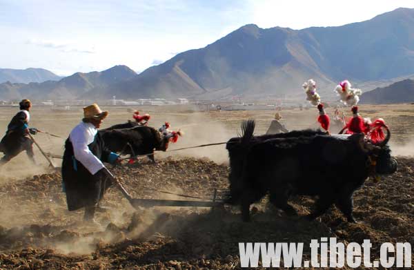 �ʕ]��M���òp���i�������E���]�_�|�h�q�s�ϕ��[�֢u��ä����n�K��85�W�e��������i��®�����