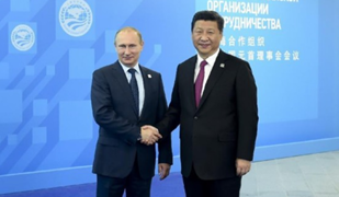 ���y���X�������|�u�ړ��p�|