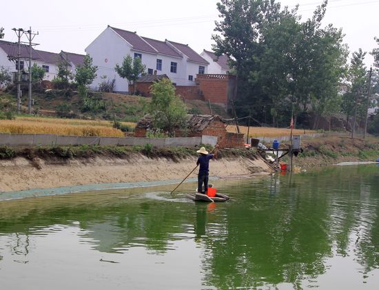 ����Ψ��e���H���_�[