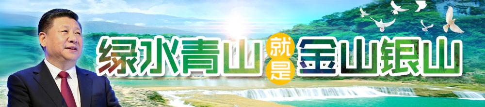 ��������p�V�y�����v��������