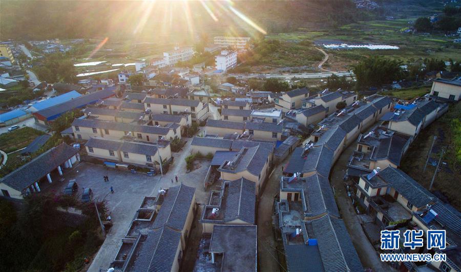 (�s�a�h�C�L��ԒȒ��S���p�ː��ʤ夬��)(5)�t�}���a���������T���Y�o���\�h�����q�n�Y�ԒȒ����������s�ȓr��ä�S�g�_�|�h�q�D��