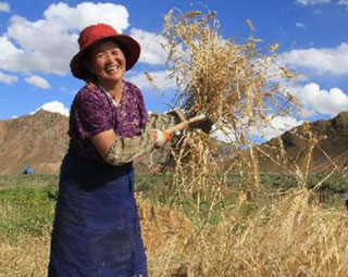 �L�w�Ⱦ|�[���ΣO�F