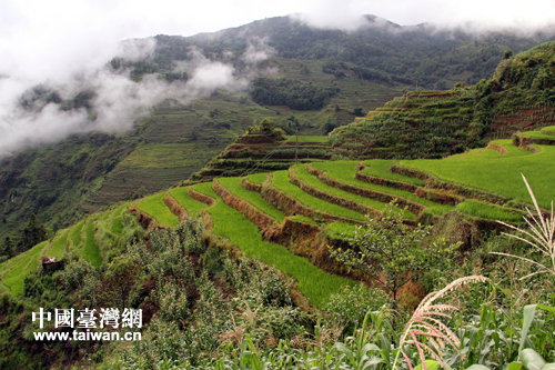 �|�����K