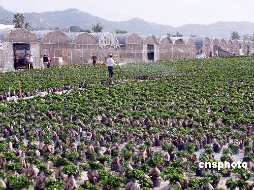 ���ϐ��������W�ϥ����Z�ѧ��K�v�����Y�`�R