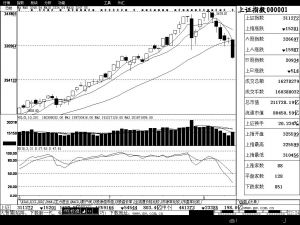 ���������_4% �O�d�E���L��ä�DA�p������