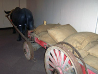 �粣���J�����[-�]�o