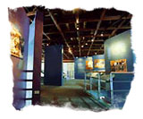 ���D�S�i���������Y����