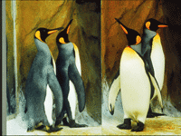 �哥���J�Zä�_�bͮ