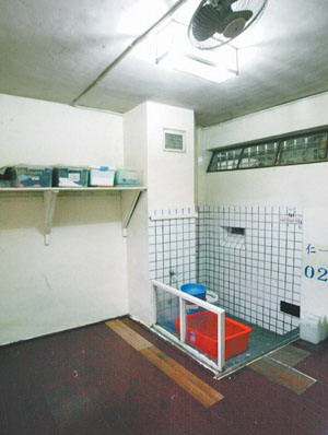 �V�S�s�����V�e��޽�m