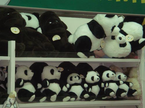 �哥���߯��J�Z�Ƿs�� �q�����X'��������'[����]