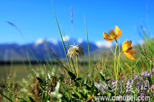 �����y���������w�����ΐ����ʐ�