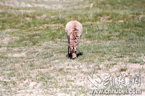 �����y���������w�����ΐ����ʐ�