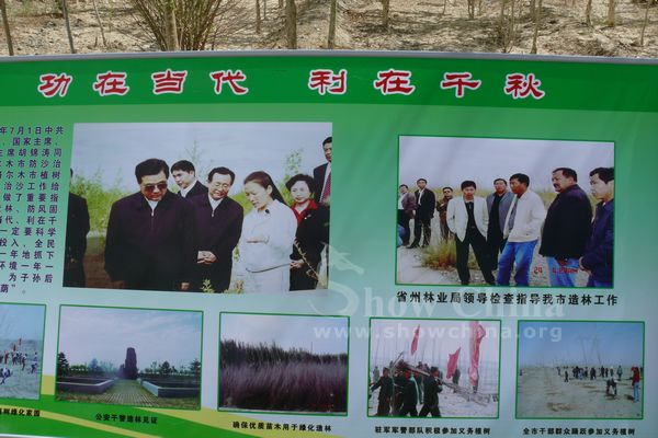 �ͺA�O�����]��{�iҦ