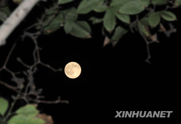 10��4����ޓ��y���d���~�ê񸿤��ؤ��v�ϵߒΤ�Ԥ��ޫU�����ޡL�Ԥ��Y��G�Ԥ������޿ؤ��Y��G�����ɳo���l����