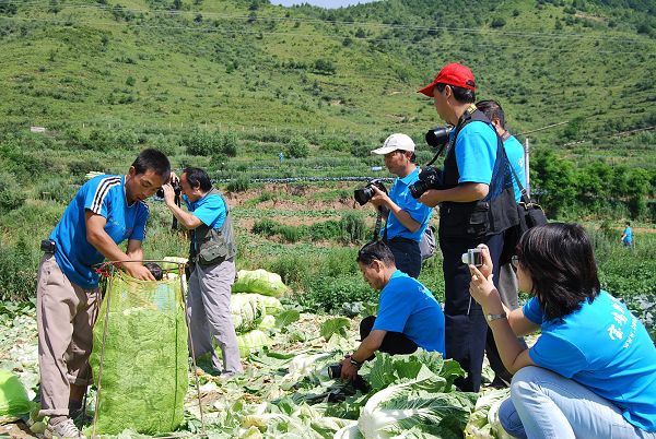 ‥紇鉤腳蔓〃蹦齛M辦太白 瓣紋膍摟添亮春 (3)