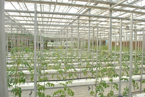 �I�C���Z�w:�}�I�ӷs���Y�w�^�F��ä���ƒ��`��