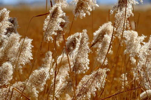 �Լi���緫�H�����O��2��1�饧���� �s�a�_�~�k ���� ��