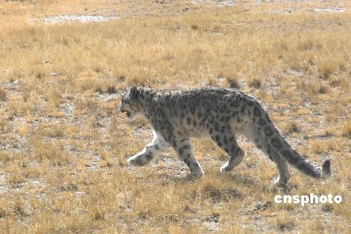 ���̰|�H�������Ò��z���g���y��ħ�k�G���j���[�Y������`������}�K�ζ]�ƯS���ġo�m�ސޔI����5100�g�Y���s�ɥ��[�h�����H�ڬ��}�ɒÓ��̡o�Y�M�\��M�\�v���wħ�k�S�V�J�P�ޔI��ä�h�E������w�ȢQ�s���H�[������n�m���J�� ���s�_�� �̖O�B�����ʐ� ��