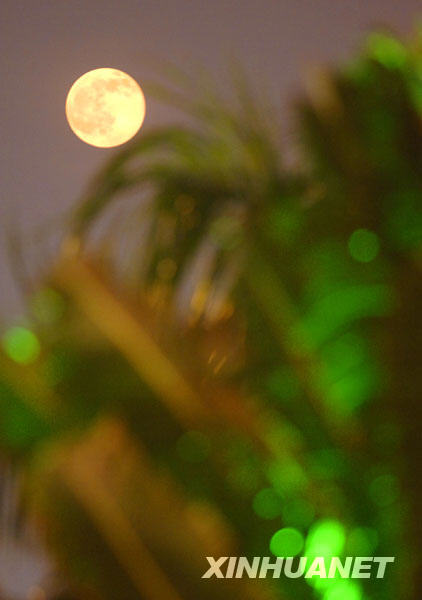 10��4�����������d���~�ê񸿤��ؤ��v�ϵߒΤ�Ԥ��ޫU�����ޡL�Ԥ��Y��G�Ԥ������޿ؤ��Y��G�����ɳo���l����