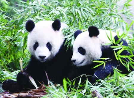 �­�ҧ����Q�L��������