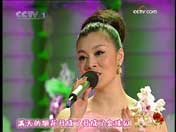 �q�T�K���}�n�ёL�p�} �_�{�F��